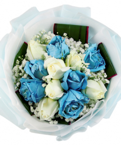 12 light blue roses