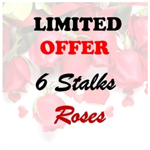 FREE DELIVERY: 6S RED ROSE BIG HAND BOUQUET - Little Flower Hut #1 ...