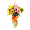 vase mixed color gerbera bouquet delivery