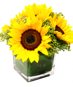 get well vase flower delivery sunflowers
