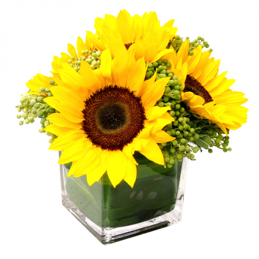get well vase flower delivery sunflowers