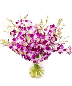 vase arrangement with fresh purple dendrobium orchid