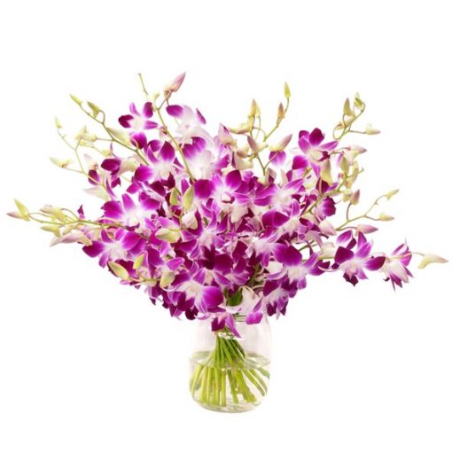 vase arrangement with fresh purple dendrobium orchid