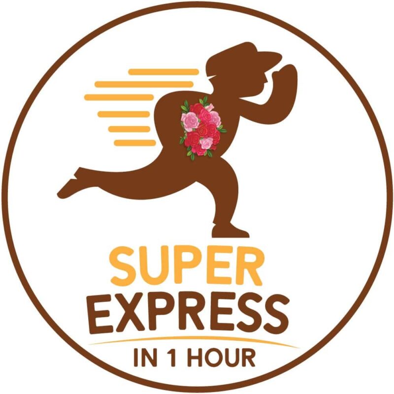 Super-Express-Delivery