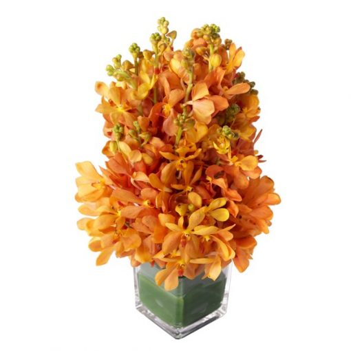 orange mokara flower arrangement
