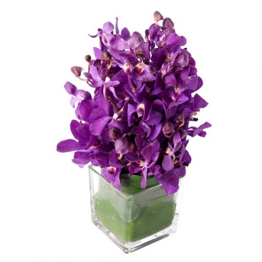 purple mokara flower arrangement