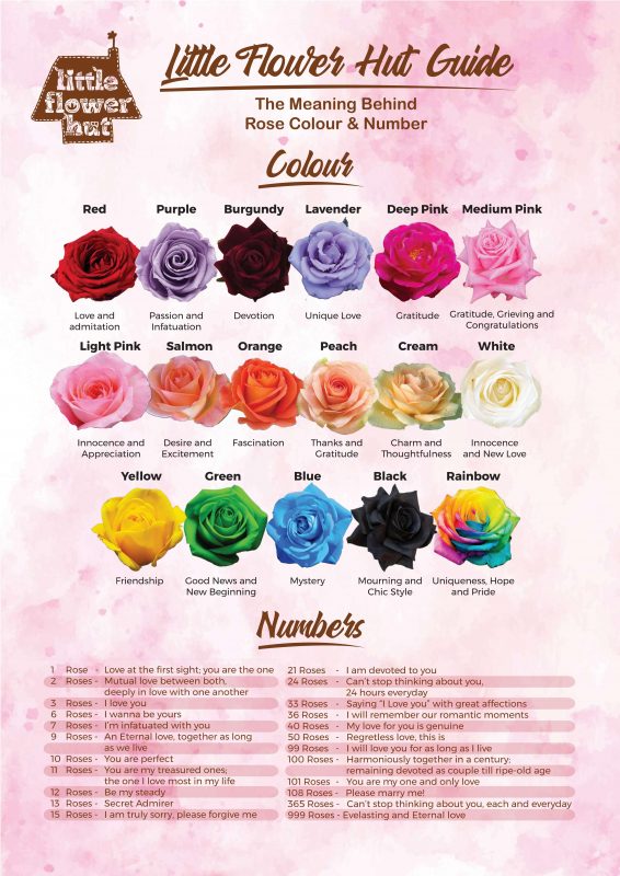 22 Rose Color Meanings: What Does Each Shade Symbolize? - Color Meanings