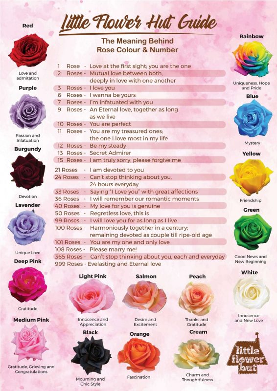 Meaning Of Roses By Number And Colours Little Flower Hut 1 Singapore 