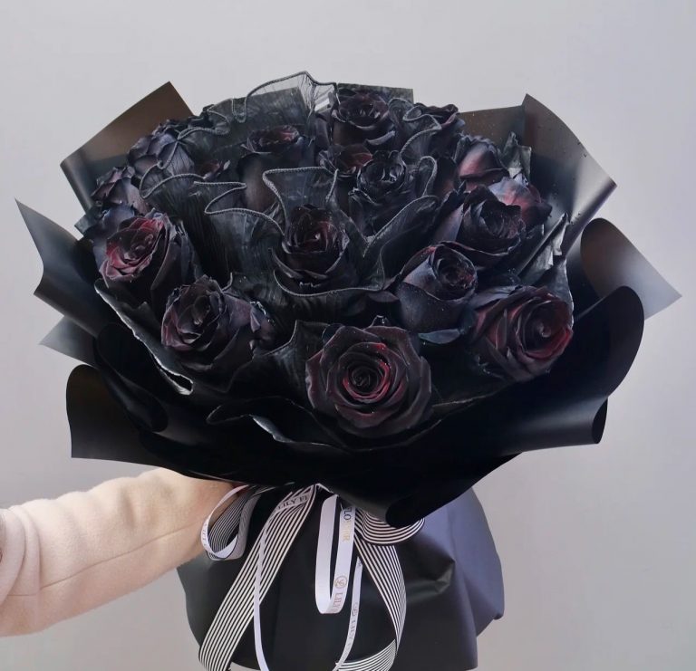 Super Black Roses and Flowers Delivery Black Rose Bouquet Delivery