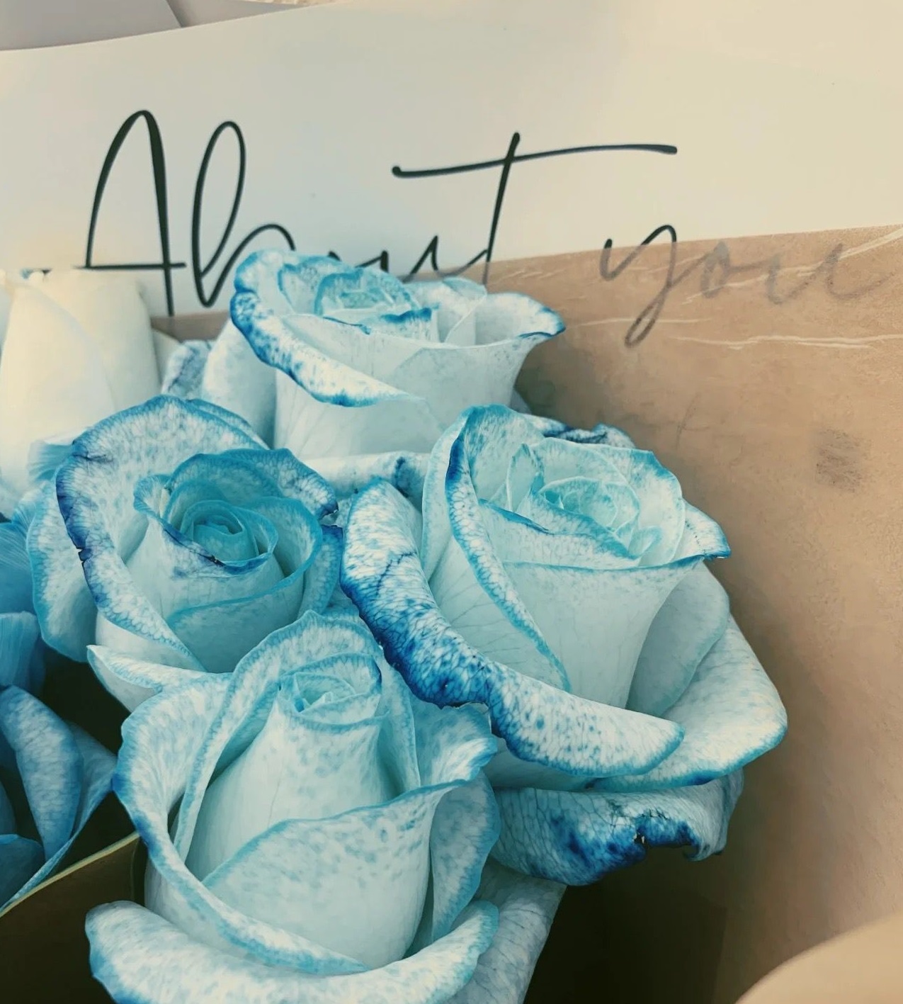 Large Blue Rose Bouquet Amazing Blue Roses Delivery is Available Now