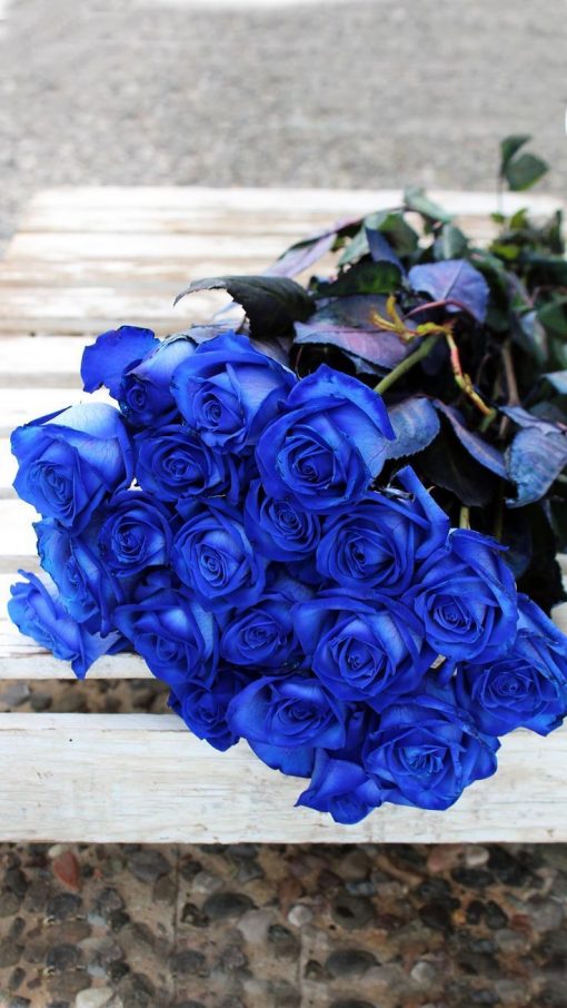 Large Blue Rose Bouquet - Amazing Blue Roses Delivery is Available Now