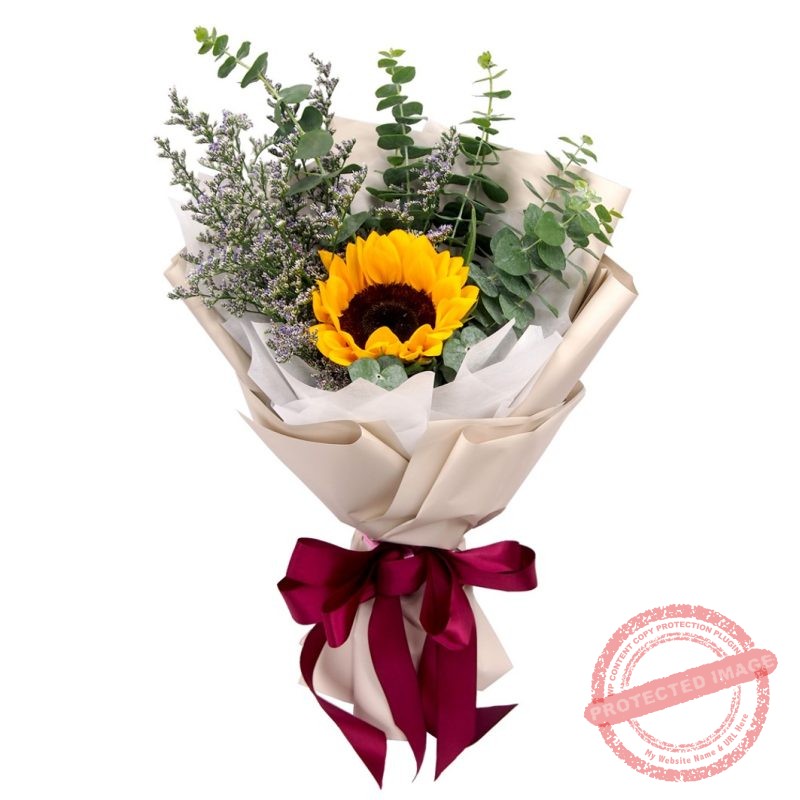 SB05 ONLY SUNSHINE Little Flower Hut 1 Singapore Online Florist