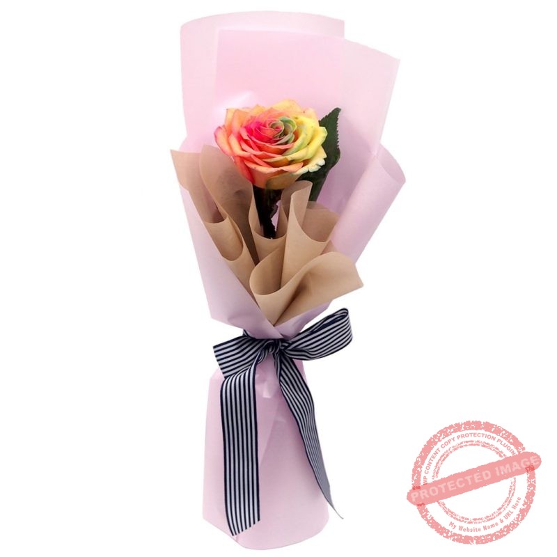 KH81 Only Rainbow Little Flower Hut 1 Singapore Online Florist