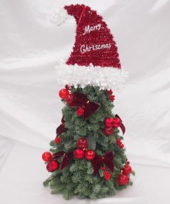 CMAS-248 FRESH MINI CHRISTMAS TREE HUGS