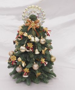 CMAS-243 FRESH MINI CHRISTMAS TREE SANTA