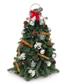 CMAS-247 FRESH MINI CHRISTMAS TREE WISHES