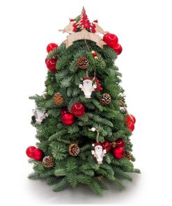 CMAS-238 FRESH MINI CHRISTMAS TREE table MERRY