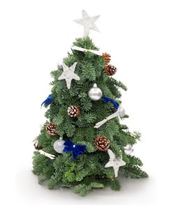 CMAS-244 FRESH MINI CHRISTMAS TREE SURPRISE