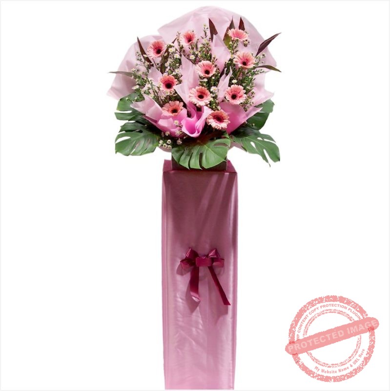 OP153 Congratulatory Flower Stand Champ Little Flower Hut 1 Singapore Online Florist