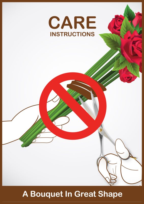 Cutting Flower-Care-Instruction