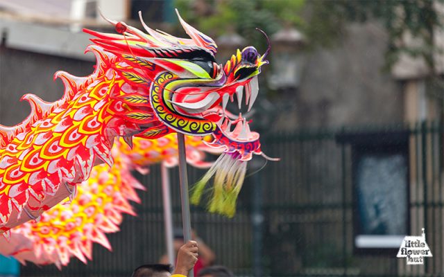 Dragon dance during Chinese New Year