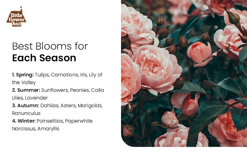 Infographic of seasonal blooms