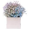 Box-40 Love Unfiltered baby breath flower box