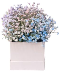 Box-40 Love Unfiltered baby breath flower box