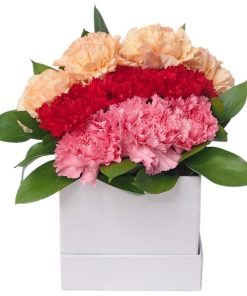 Box-43 Nothing But Love carnation flower box