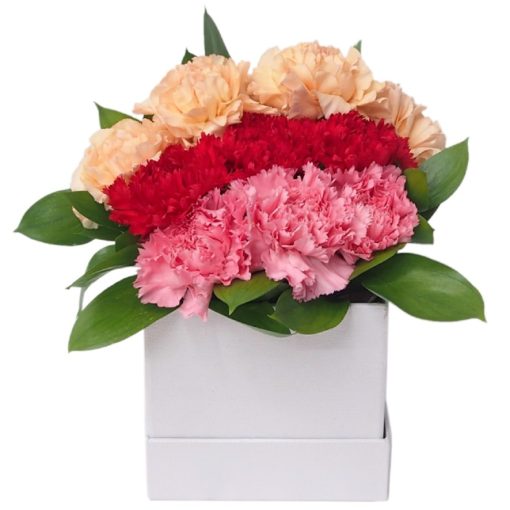 Box-43 Nothing But Love carnation flower box