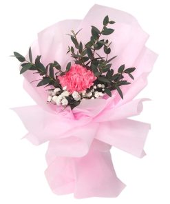 SB-10 Eternal Affection Single stalk pink carnation bouquet