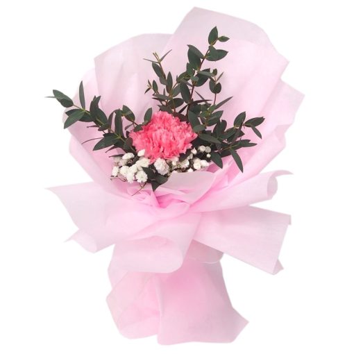 SB-10 Eternal Affection Single stalk pink carnation bouquet