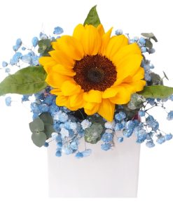 Box-41 Love Supreme sunflower blue baby breath flower box