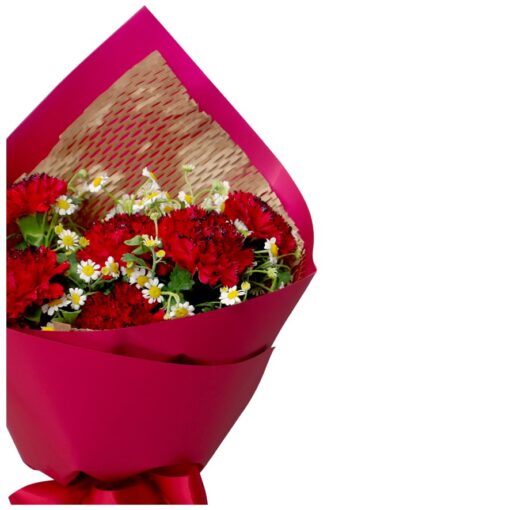 KH-134 Blooming Beauty carnation bouquet