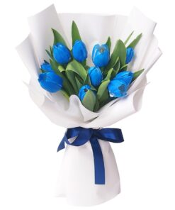 kh-151 Tulip Bouquet Bluey