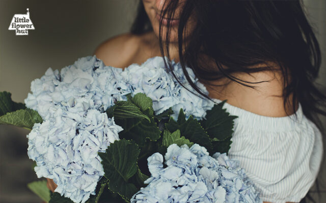 A lady holding a bouquet of blue hydrangea