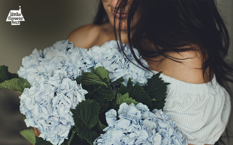 A lady holding a bouquet of blue hydrangea