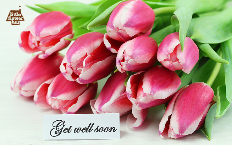 Get well soon flowers pink tulip
