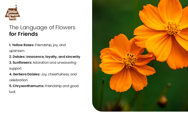 The Language of Flowers and Theirs Meanings Infographic